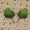 Rose Leave Decorative Floristry Craft Flowers